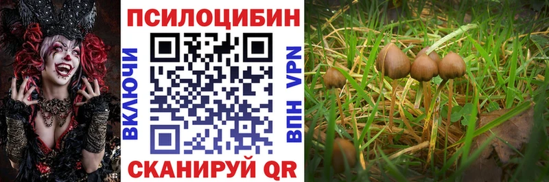 Псилоцибиновые грибы прущие грибы Купить Усть-Кут
